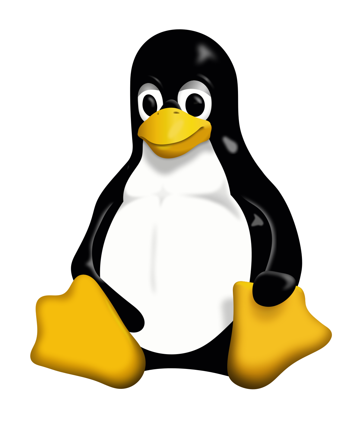Linux Kernel Coding Style