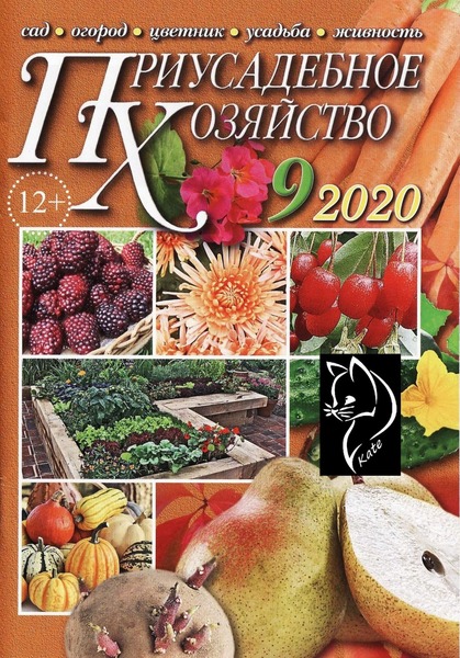 Приусадебное хозяйство №9, сентябрь 2020