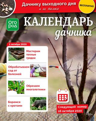 Огород Ру. Календарь дачника №19, октябрь 2020