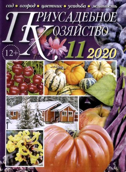Приусадебное хозяйство №11, ноябрь 2020