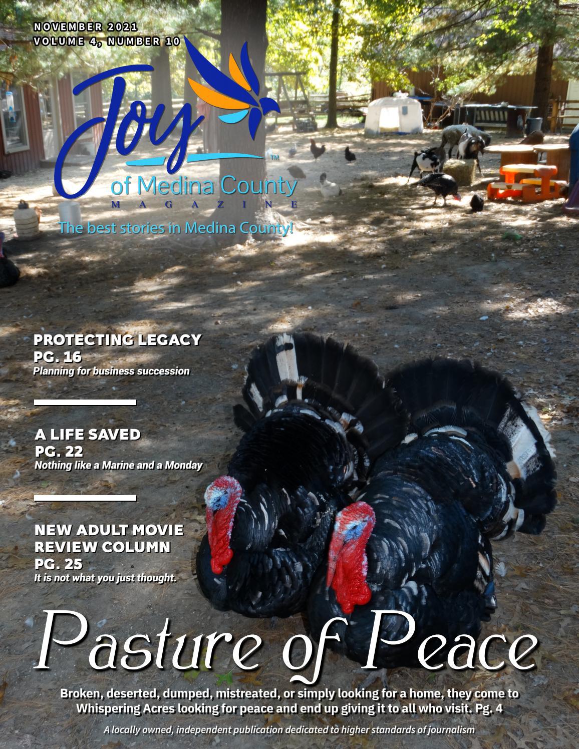 Joy of Medina County Magazine November 2021