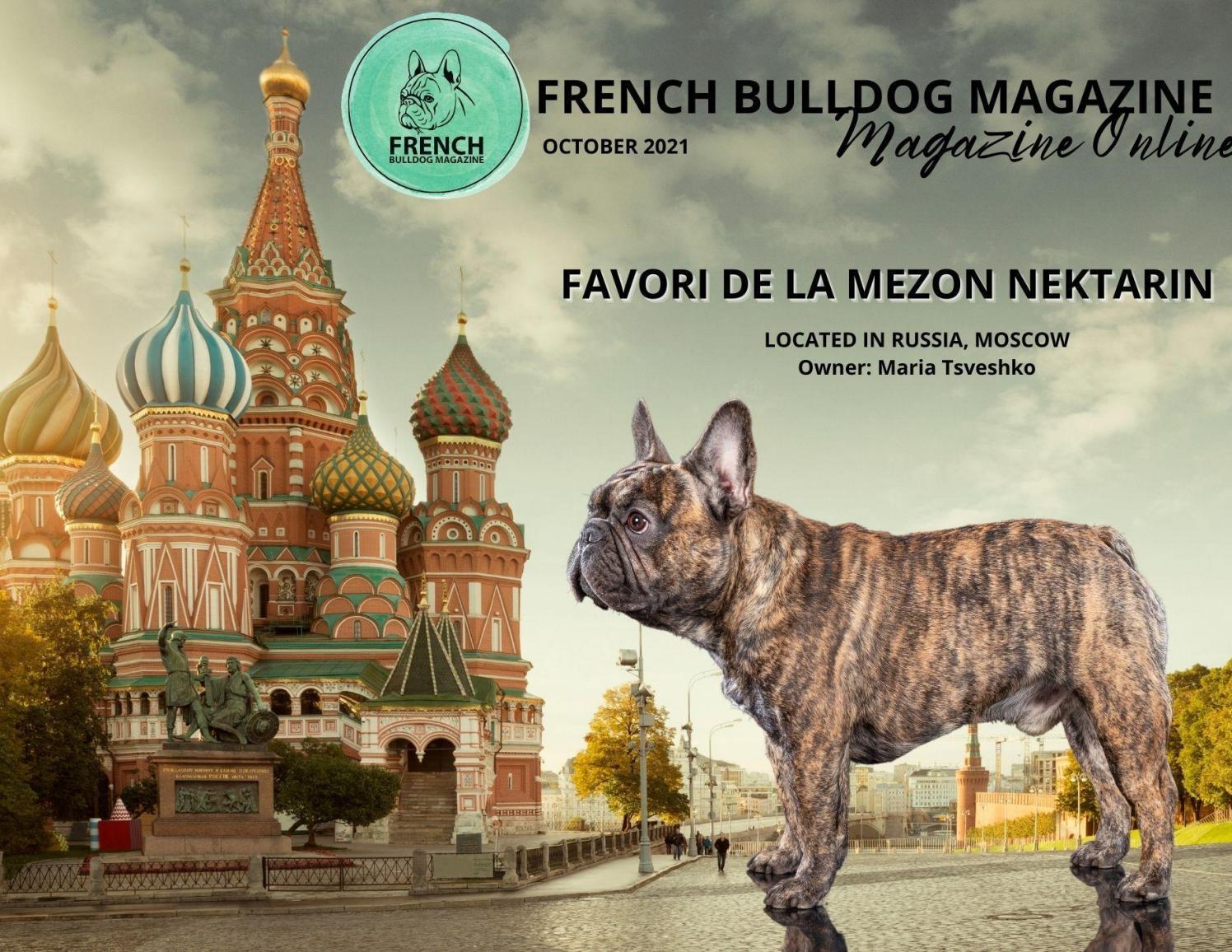 French Bulldog Magazine, October 2021