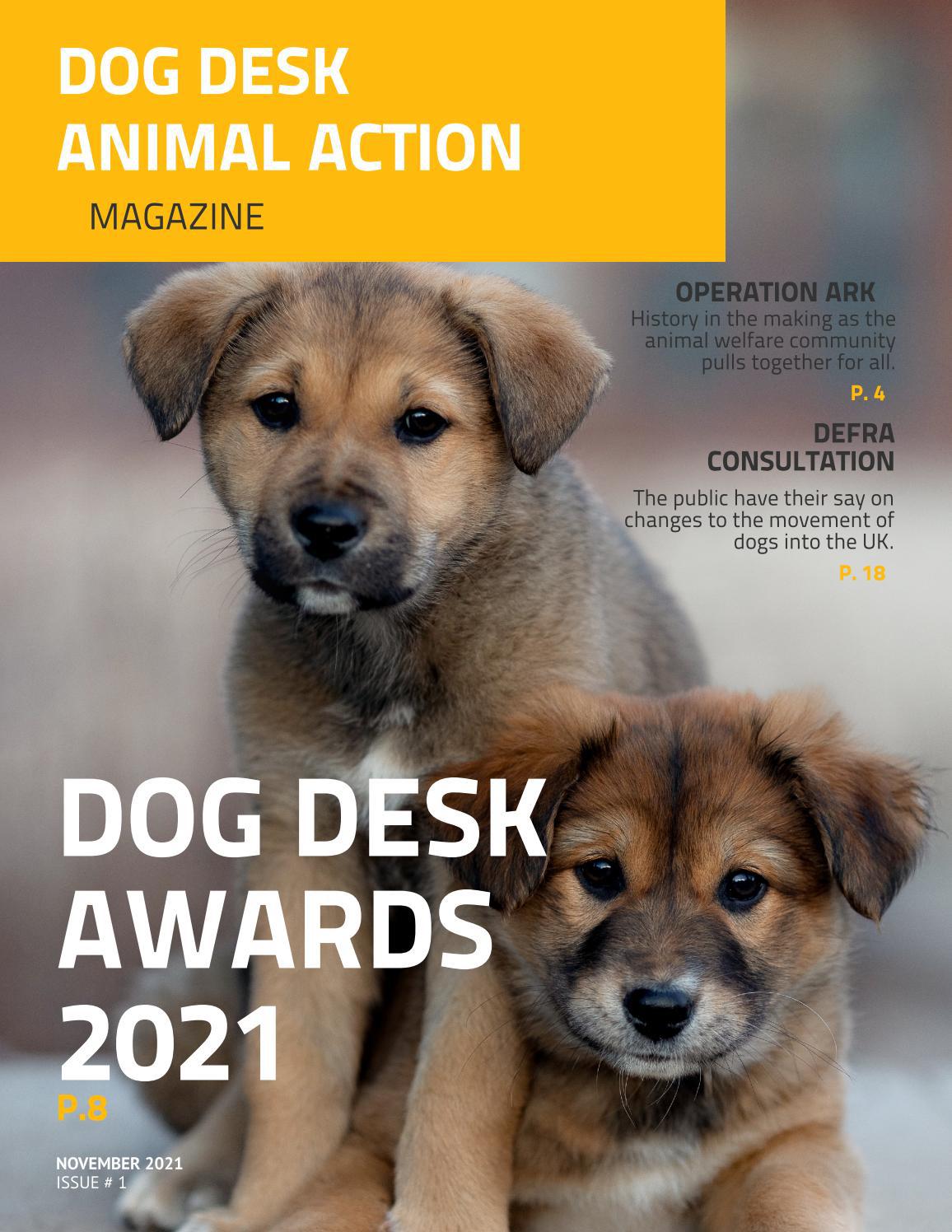 Dog Desk Magazine