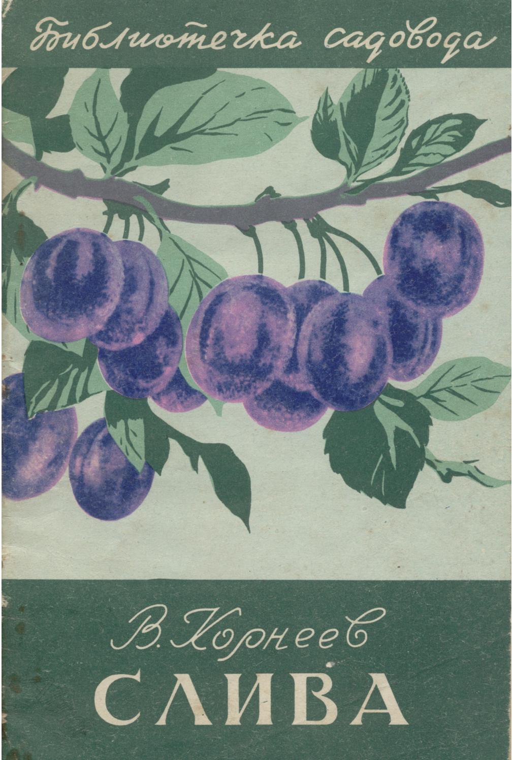Слива (Библиотечка садовода) - 1960 ссср