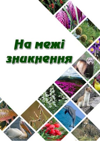 На межі зникнення: 29 рідкісних рослин та тварин України