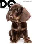 DQ Magazine Issue 1B