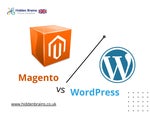 Differences between Magento and WordPress