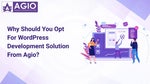 Why Should You Opt For WordPress Development Solution From Agio