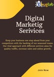 Digital Marketing Services, Dbug Lab