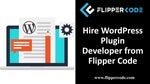 Are you Interested in Obtaining into a WordPress Plugin Development Company?