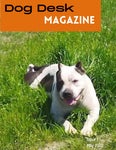 Dog Desk Magazine May 2022