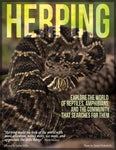 The Herping Magazine
