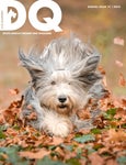 DQ Magazine Issue 1C