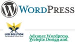 Advance Wordpress Website Design and Development Company in Noida