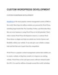 Custom WordPress development