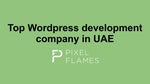 Top Wordpress development company in UAE