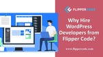 Why Should You Hire a wordpress Plugin Developer From Flipper Code?