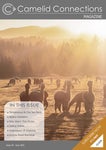 Camelid Connections Magazine Issue 20