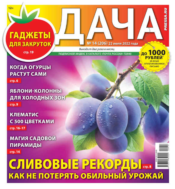 Дача №14, июль 2022