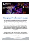 WordPress Development Services Provider Company | Baniwal Infotech