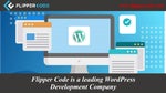 Searching For Professional WordPress Plugins Development?