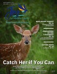 Joy of Medina County Magazine September 2022