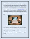 Choose The Service of Professional WordPress Developer