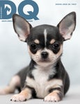 DQ Magazine Issue 3b