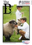 Gillingham and Shaftesbury Show magazine