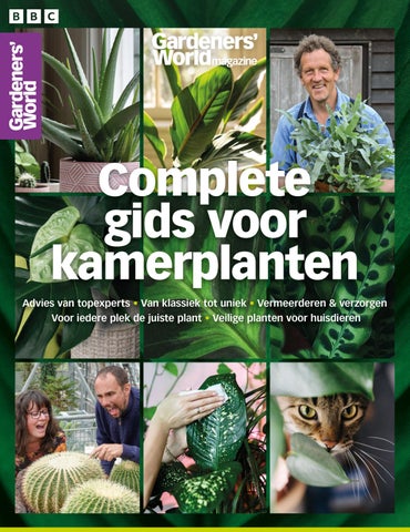 GW Kamerplanten