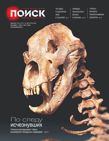 poisk_32332022