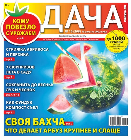 dacha_162022