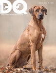 DQ Magazine Issue 2C