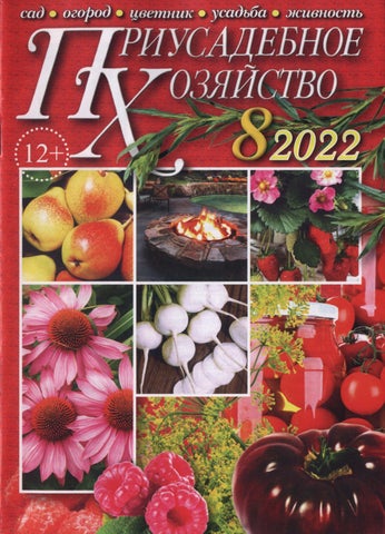 priushoz_082022