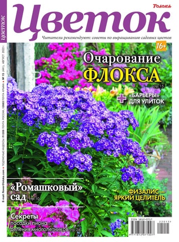 tsvetok_152022