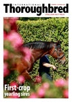 International Thoroughbred first-season sires 2022