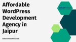 Find Affordable WordPress Development Agency in Jaipur