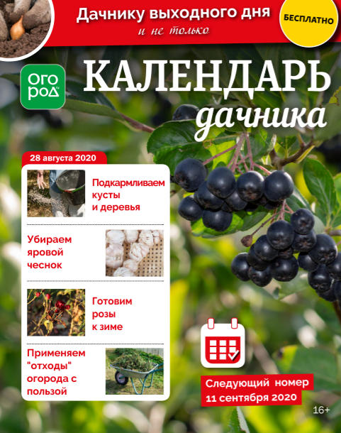 Огород Ру. Календарь дачника №17, август - сентябрь 2020