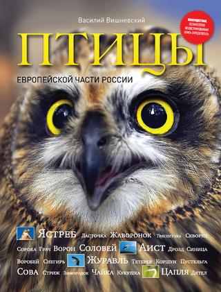 Птицы европейской части России, 2011, Василий Вишневский